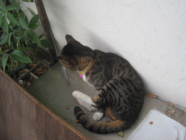 エリ-について_c0102228_214423.jpg