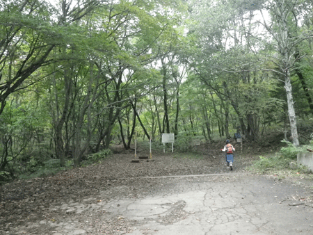 e0008833_13485088.gif