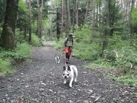 e0008833_13552650.gif