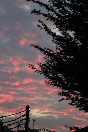 e0166336_1125299.jpg
