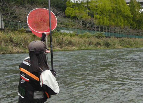a0056140_15113879.gif