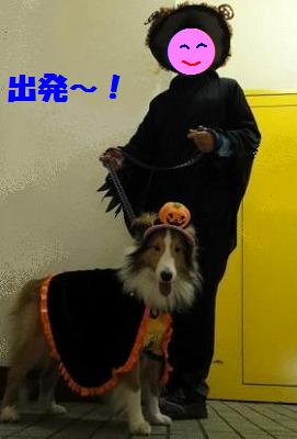ハロウィンわんわんパレード♪その1~_e0195743_2195293.jpg