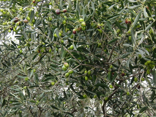 f0212143_63684.jpg