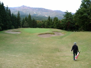 a0115745_1781699.jpg