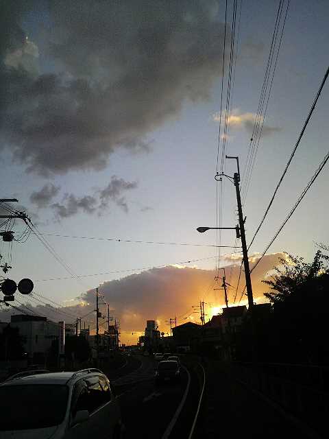 a0095546_220843.jpg