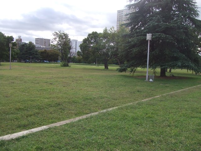 e0046748_19555950.jpg