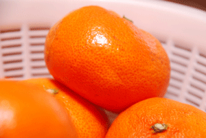 b0046050_1534781.gif