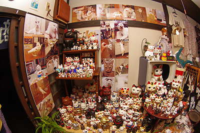 秘蔵招き猫とうちの猫ら写真展_a0028451_12195752.jpg