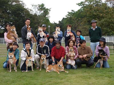 10月のお誕生会　＆　明るい柴飼いの会オフ_d0144253_222199.jpg