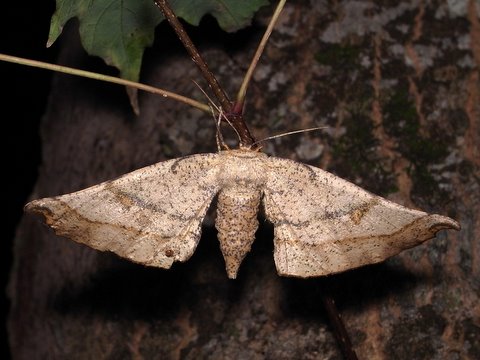 b0130166_20335041.jpg