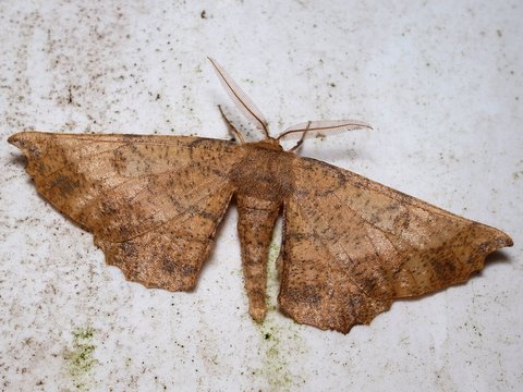 b0130166_20335072.jpg