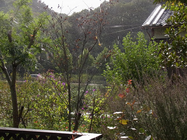 e0181373_2274273.jpg