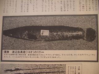 日本一の雷魚のサイズって 店主のマニアック日記