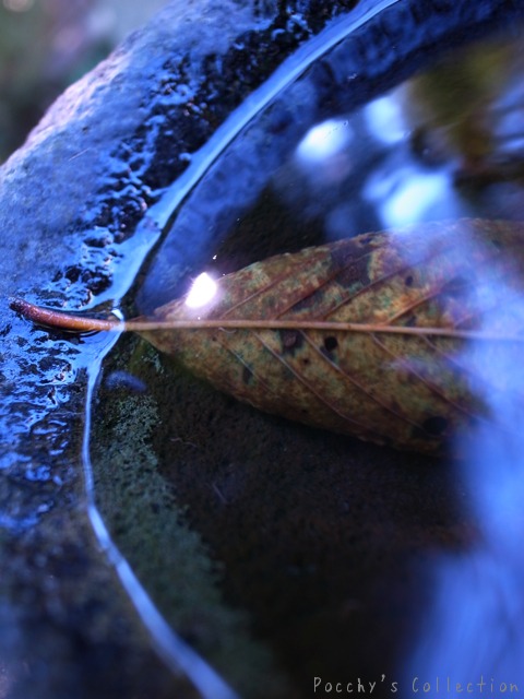 Kamakura　47_f0046675_23455768.jpg