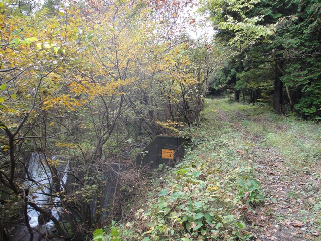 c0157482_22201074.jpg