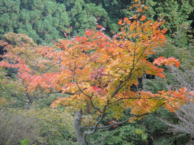 c0157482_22242064.jpg
