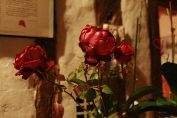 f0046982_75463.jpg