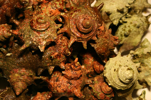 d0016587_2312998.jpg