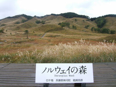 ススキ：山肌覆う無数の銀の穂　砥峰高原見ごろ_f0222687_8513080.jpg