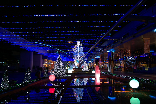 c0082191_2253017.jpg
