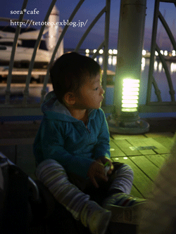 a0150193_6503925.gif