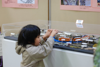 ■　きのこ展　2010_f0231293_7341257.jpg