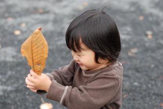 ■　きのこ展　2010_f0231293_7374823.jpg