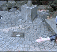 c0072801_11544133.gif