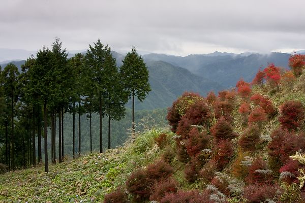 e0193503_15304794.jpg