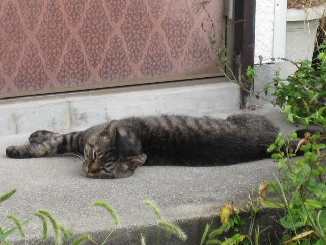 どこまでもそんなにどこまでも ・11月・_c0183104_20244572.jpg
