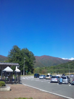 d0005807_763243.jpg