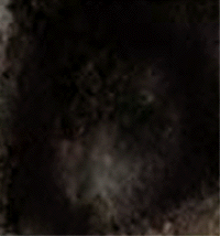 e0103408_1733793.gif