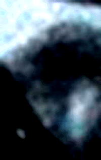e0103408_1735855.gif