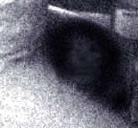 e0103408_1742532.gif