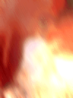 e0103408_1745327.gif