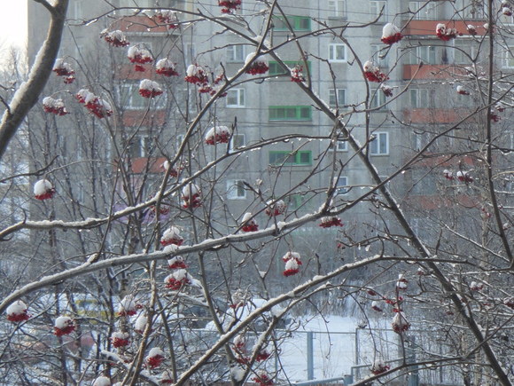 b0197609_21375729.jpg