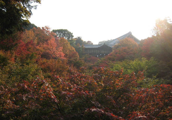 京都　東福寺てくてく旅　その1_d0154609_1144580.jpg