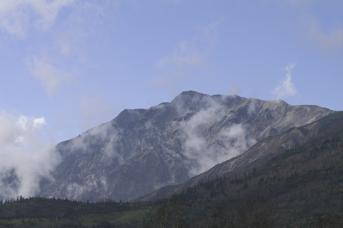 c0110112_06359.jpg