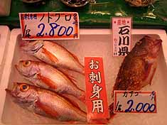 c0009413_22115990.jpg