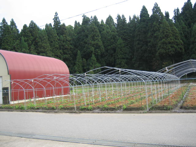 強風で吹き飛ばされそう・・・_f0067514_14131279.jpg