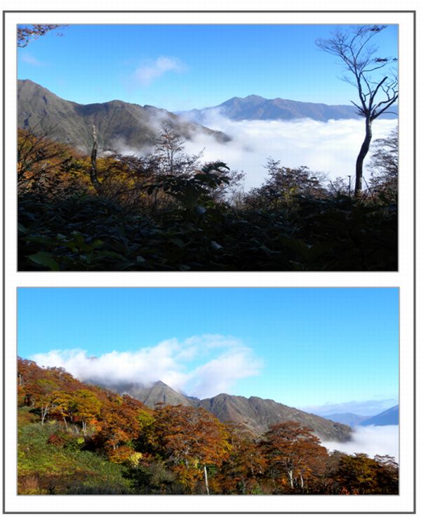 谷川岳へ登る_c0073016_2243553.jpg