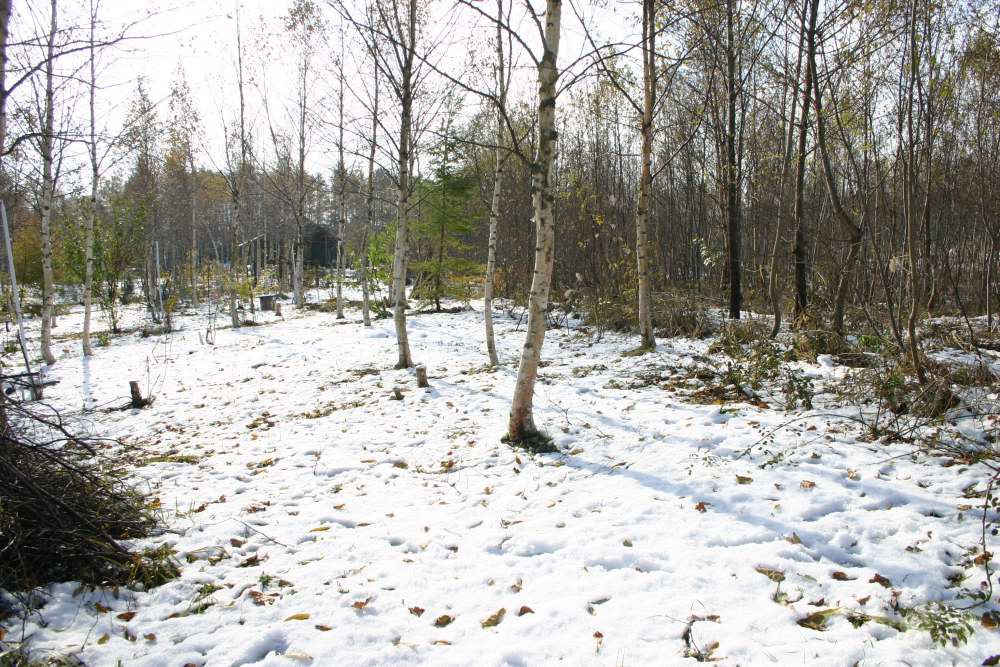 d0143719_1313948.jpg