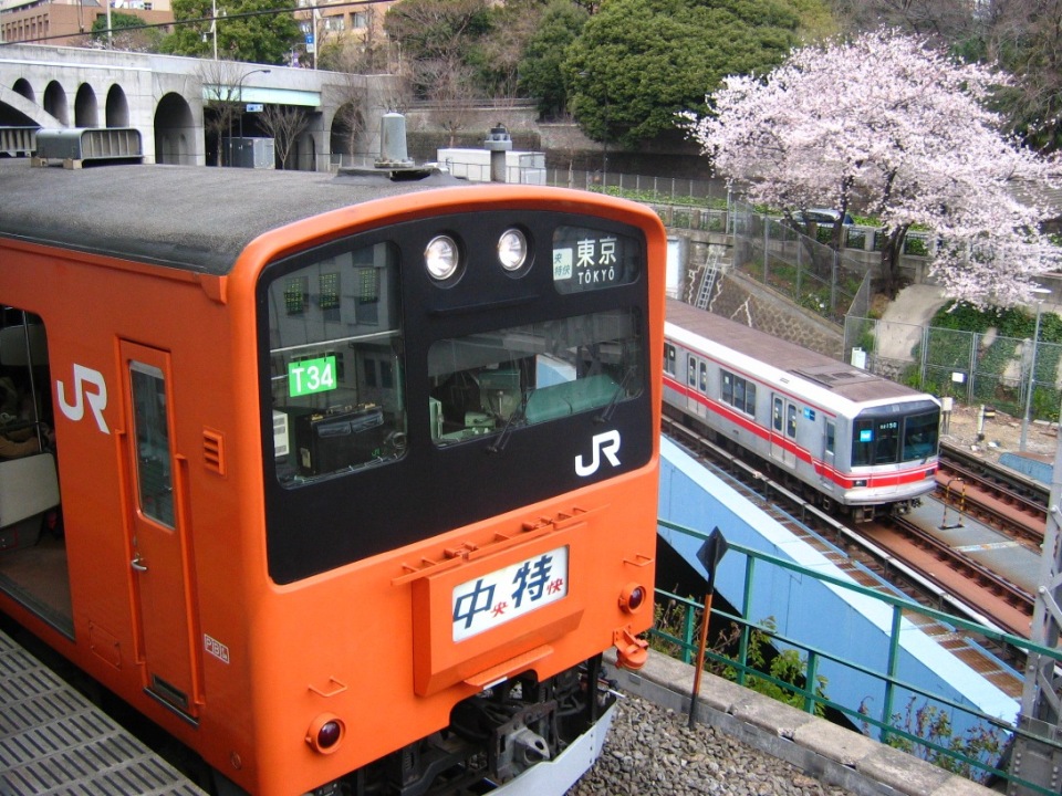 d0044222_2151243.jpg