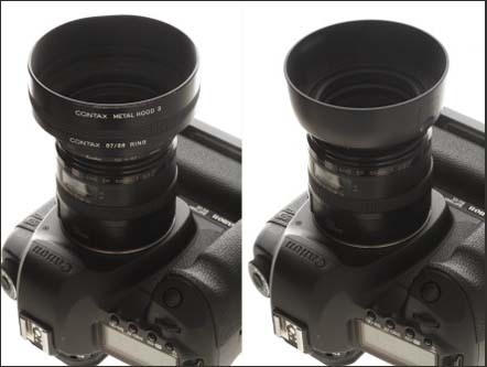 EF 50mm f2.5 compact macro のフード : No trimming No retouch ー ...