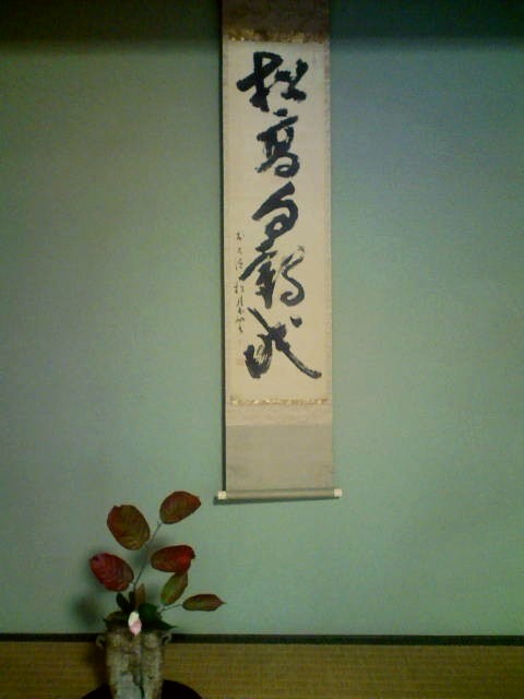 表千家・長生会全国大会2010_b0152027_771883.jpg
