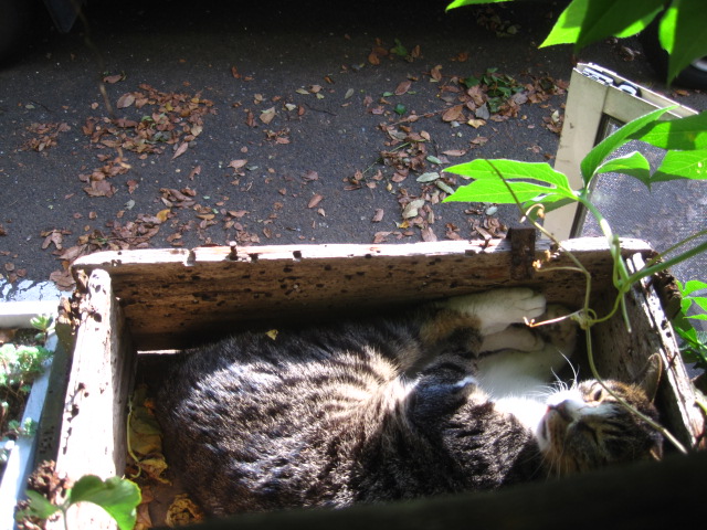 エリ-について_c0102228_21322143.jpg