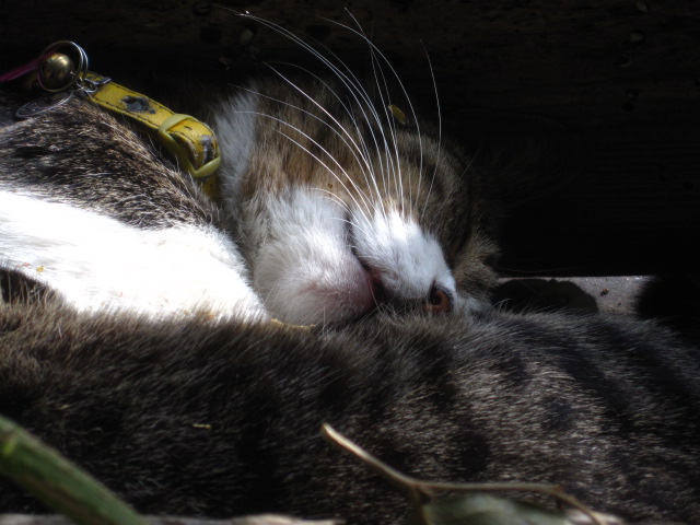 エリ-について_c0102228_213248.jpg
