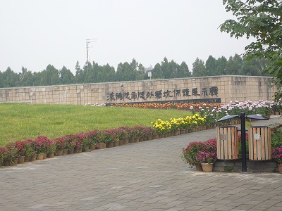 a0006033_15372559.jpg