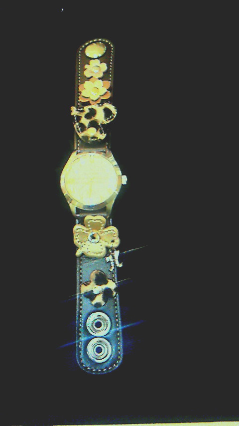 c0167939_16251378.jpg