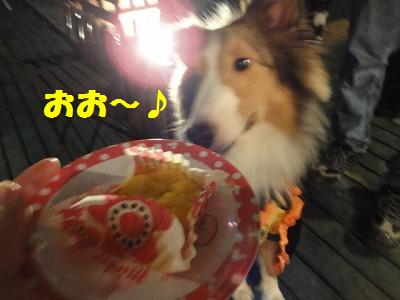 ハロウィンわんわんパレード♪その3~ _e0195743_315757.jpg